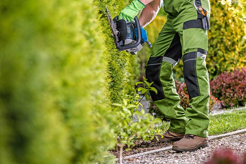 Gartenpflege Bochum